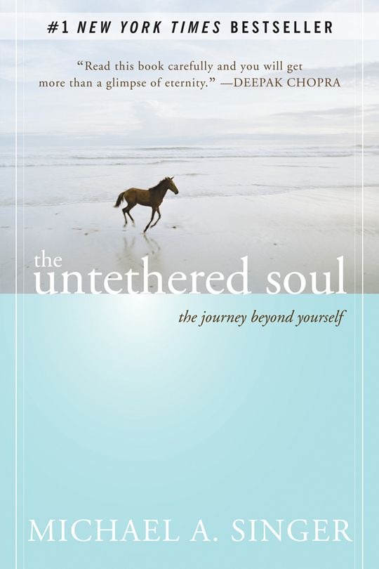 Read more about the article The Untethered Soul: The Journey Beyond Yourself