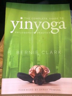 Read more about the article The Complete Guide to Yin Yoga: The Philosophy and Practice of Yin Yoga
